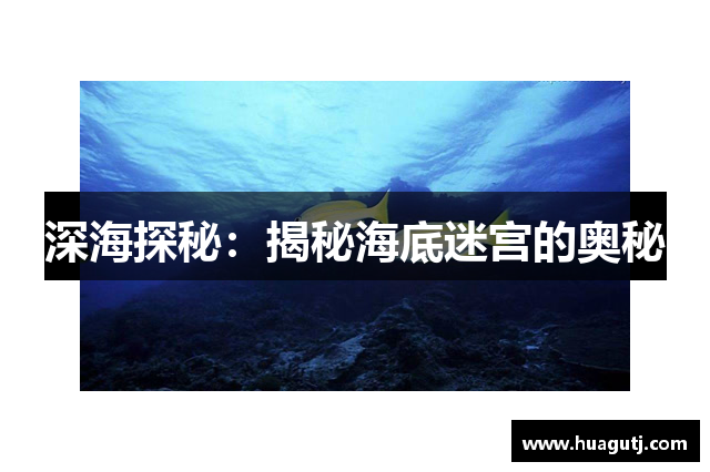 深海探秘：揭秘海底迷宫的奥秘